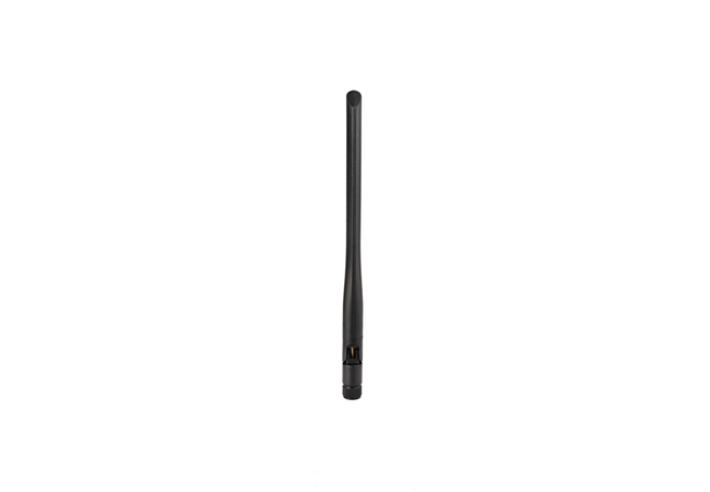 Whip Antenna