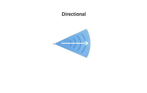 Directional Antenna
